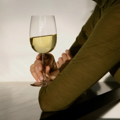 Fashion iittala Raami White Wine Glass (Set of 4) ${1}