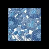 Best Marimekko Mynsteri Cocktail Napkins (20 pack) ${1}