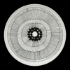 Fashion Marimekko Siirtolapuutarha Dinner Plate ${1}
