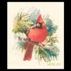 Fashion More Joy Swedish Dishcloth - Cardinal ${1}