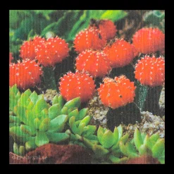 New Swedish Dishcloths Swedish Dishcloth - Red Cactus ${1}