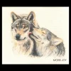 Online More Joy Swedish Dishcloth - Wolf Duo ${1}